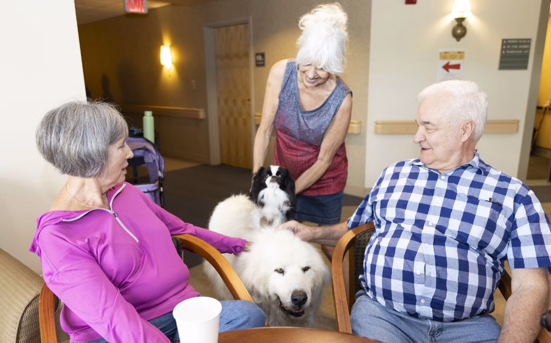 A pet therapy visit brightens the day at Willow Brook Run, showing how furry friends are part of the active senior lifestyle at this Delaware, Ohio retirement community.